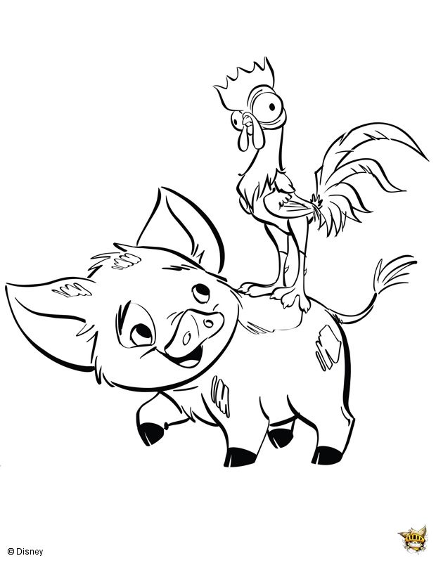 Heihei et pua moana coloring pages disney coloring pages moana coloring