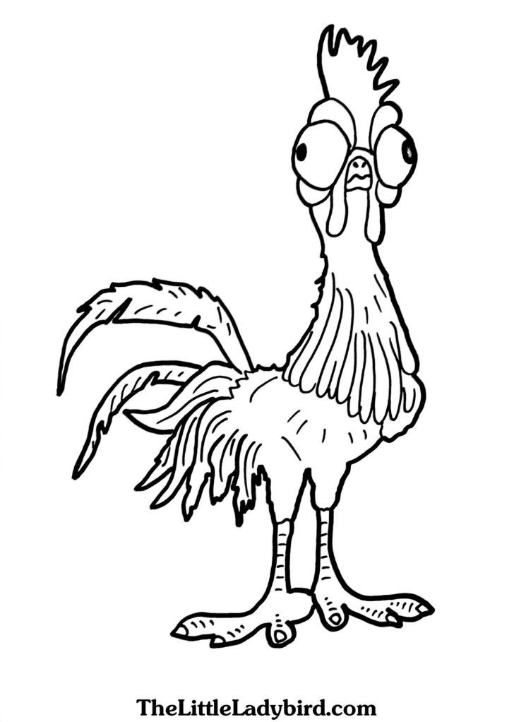 Moana coloring heihei rooster from moana coloring disney coloring pages moana coloring disney silhouette t