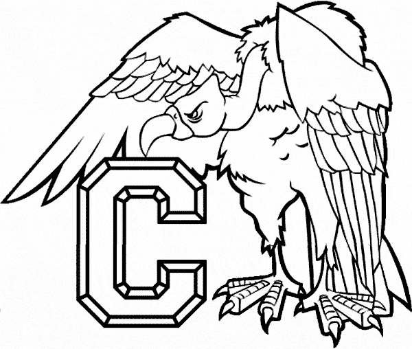 Andean condor coloring page