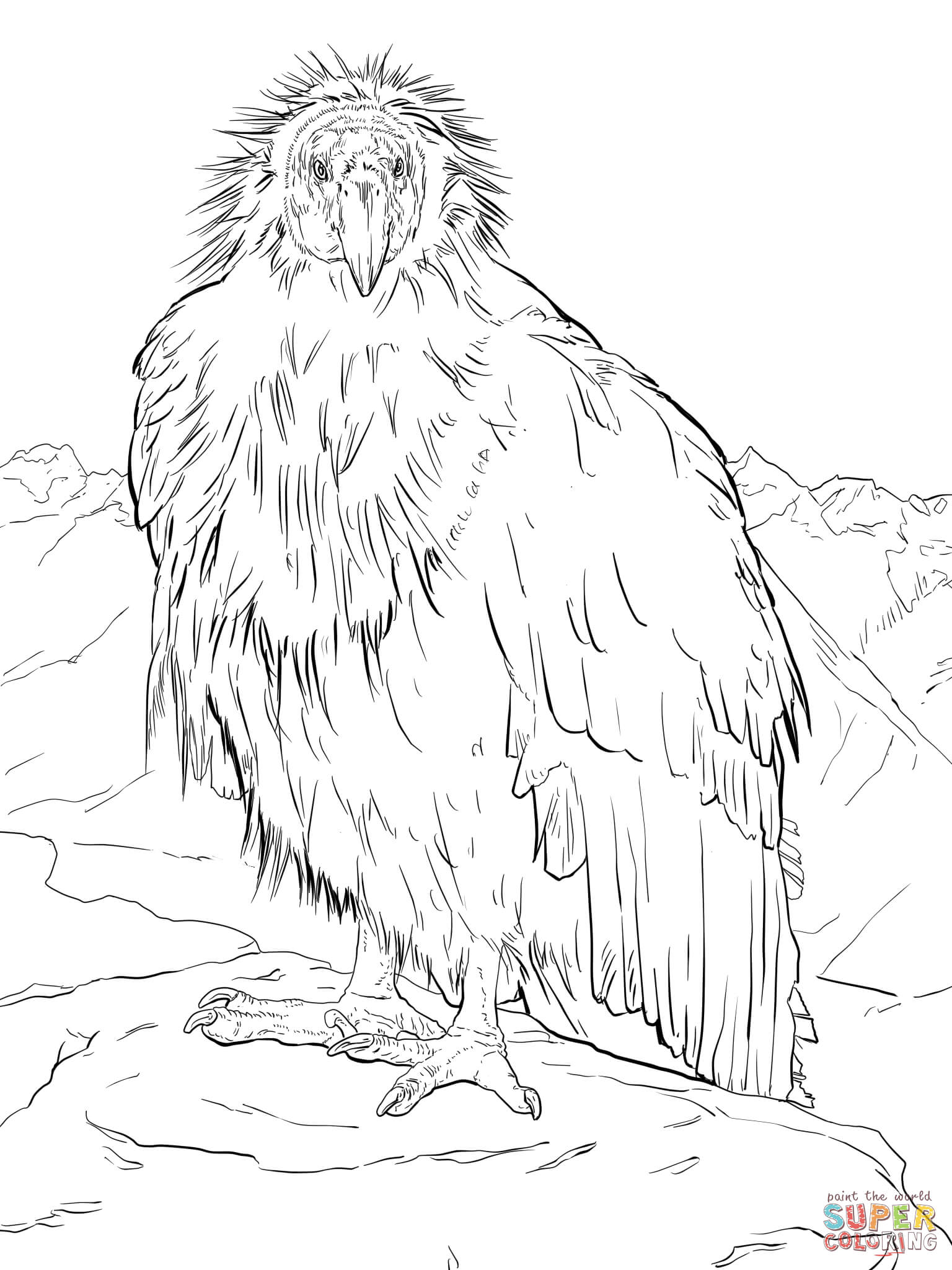 California condor takes a break at the grand canyon coloring page free printable coloring pages