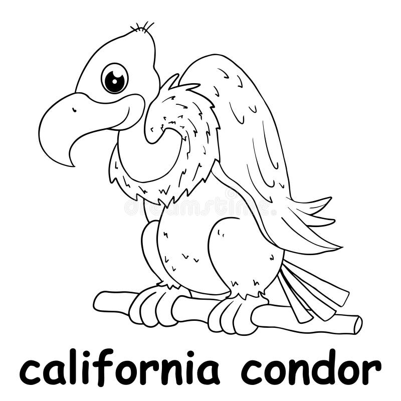 Kids line illustration coloring california condor animal outline stock vector