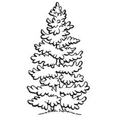 Top tree coloring pages for your little ones tree coloring page coloring pages color