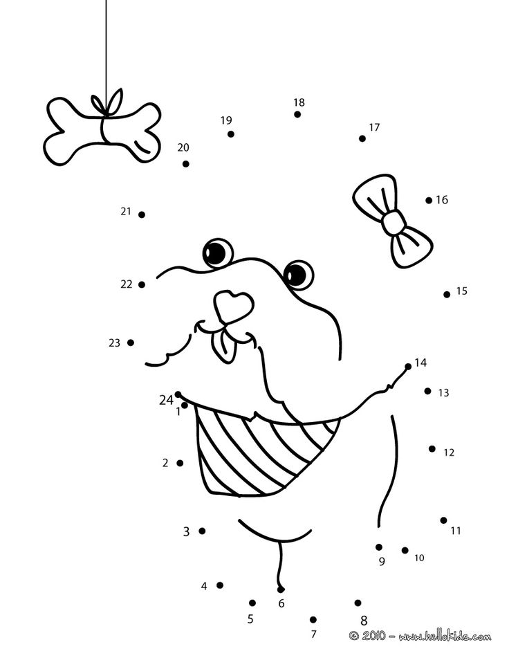Pets dot to dot