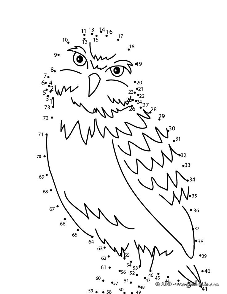 Birds dot to dot