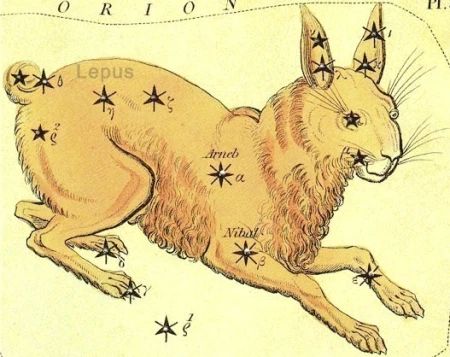 La constelaciãn de lepus la liebre constelacion liebre biblioteca de alejandria