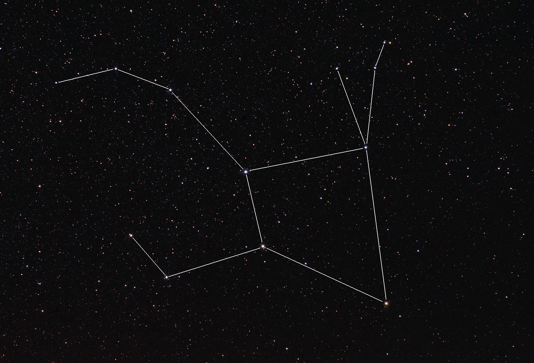 La constelaciãn de lepus la liebre la bitãcora de galileo