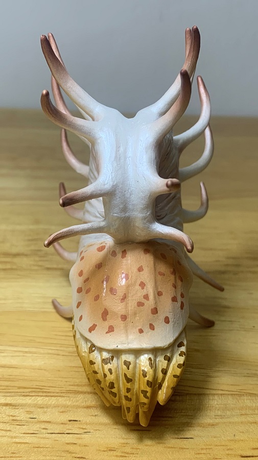 Cooperoceras prehistoric world by collecta â dinosaur toy blog