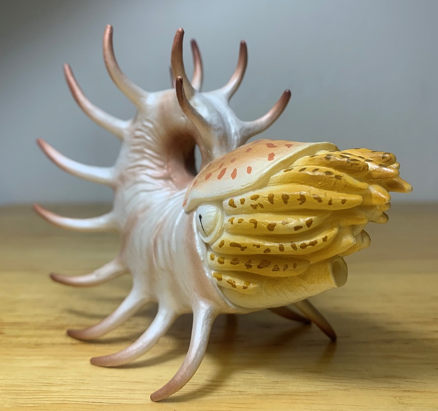 Cooperoceras prehistoric world by collecta â dinosaur toy blog