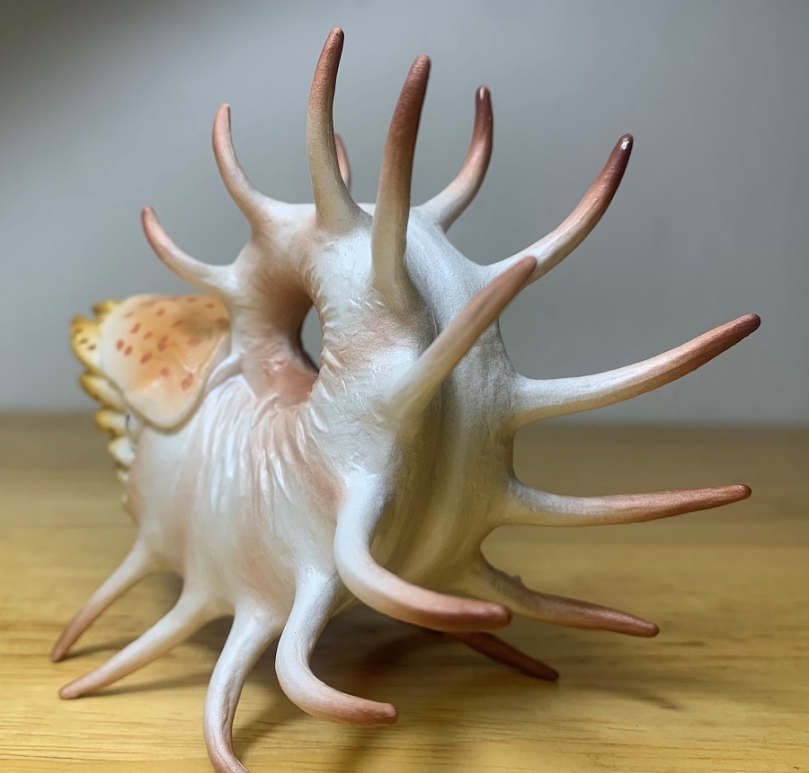 Cooperoceras prehistoric world by collecta â dinosaur toy blog
