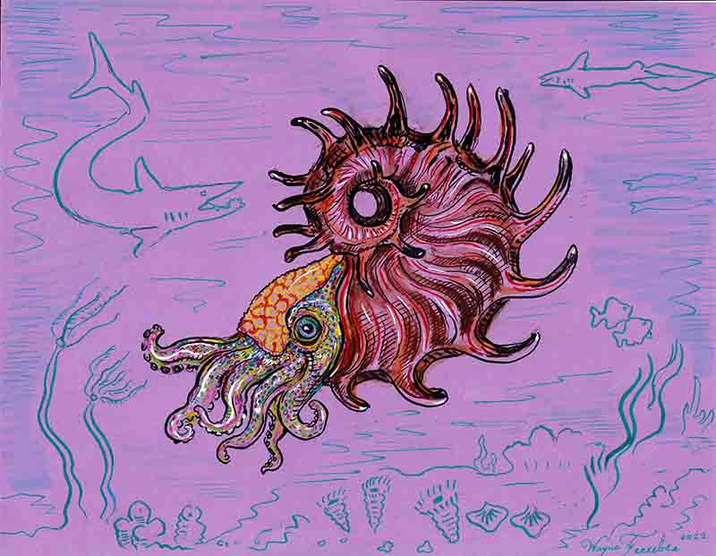 Cephalopod