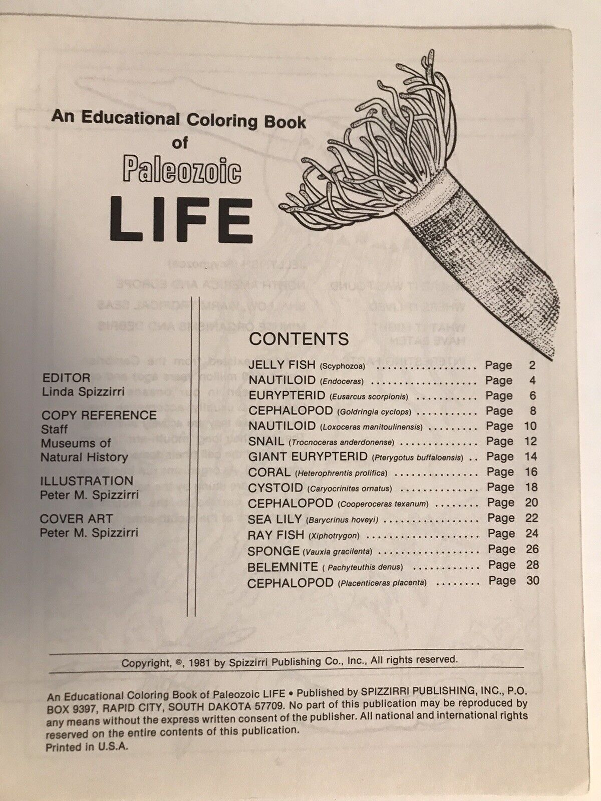 An educations coloring book lot of publisher spizzirri