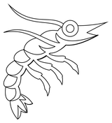 Crustacean coloring pages free coloring pages