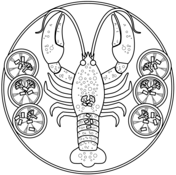 Crustacean coloring pages free coloring pages