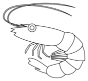 Crustacean coloring pages free coloring pages