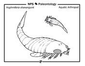 Prehistoric animals coloring pages free printable pictures
