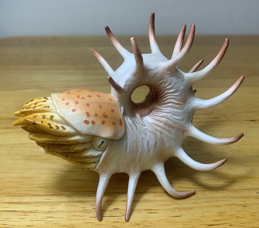 Cooperoceras prehistoric world by collecta â dinosaur toy blog