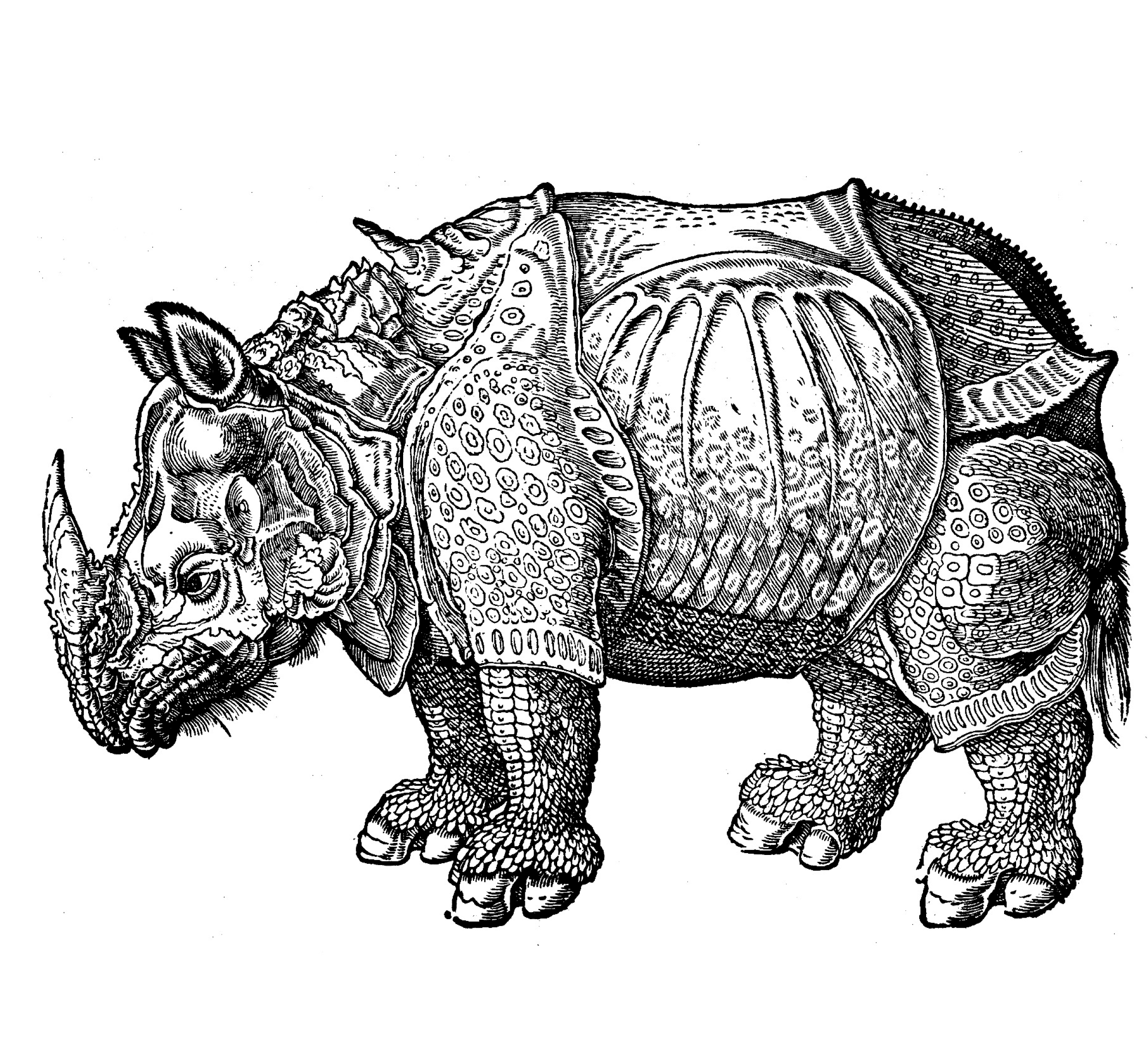 Fair play coloring books and copyright â libraries blog