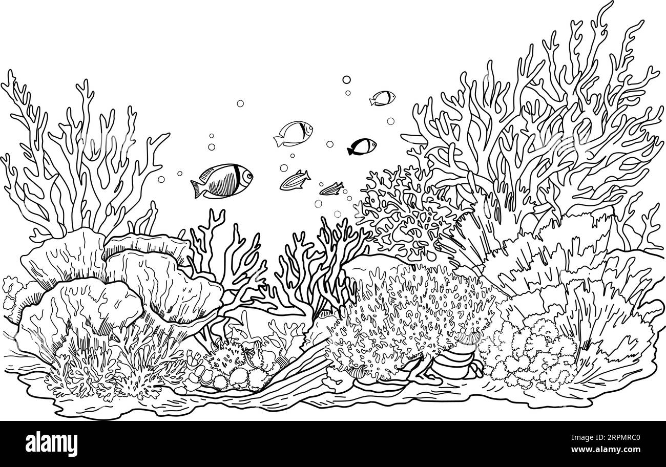 Underwater world coloring page coloring page life in the ocean with algae stock vector image art