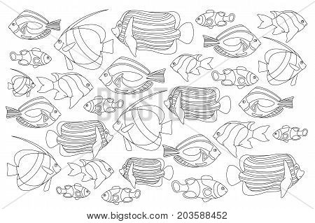 Outlined coral fishes vector photo free trial bigstock