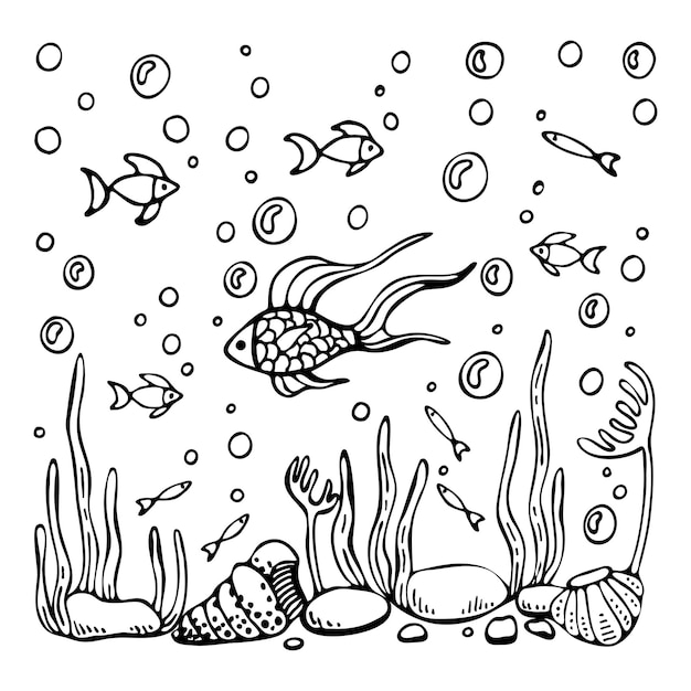 Premium vector coloring book coral reef fish stones algae seabed shells hand drawn vector line art coloring page for children and adults