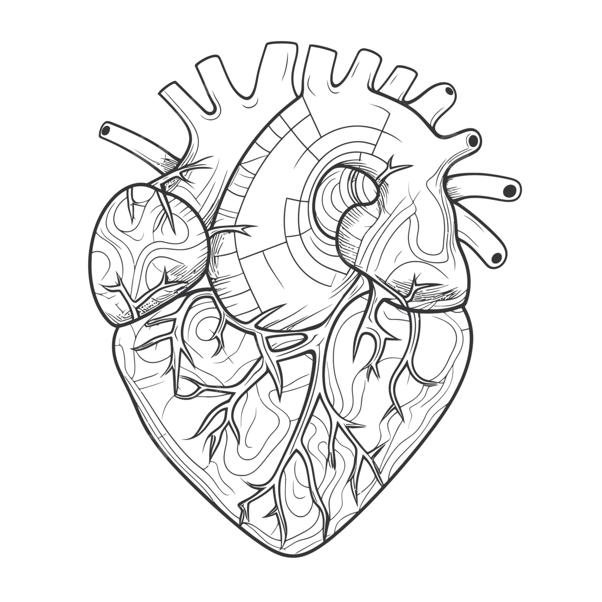 Human heart of black and white coloring page outline sketch drawing vector heart drawing wing drawing man drawing png and vector with transparent background for free download