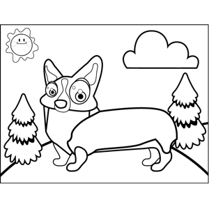 Cute corgi coloring page
