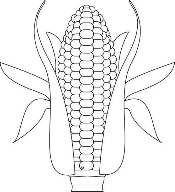 Corn coloring pages printable pdf