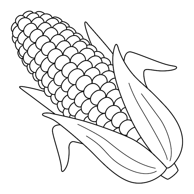 Premium vector corn fruit isolated coloring page for kids