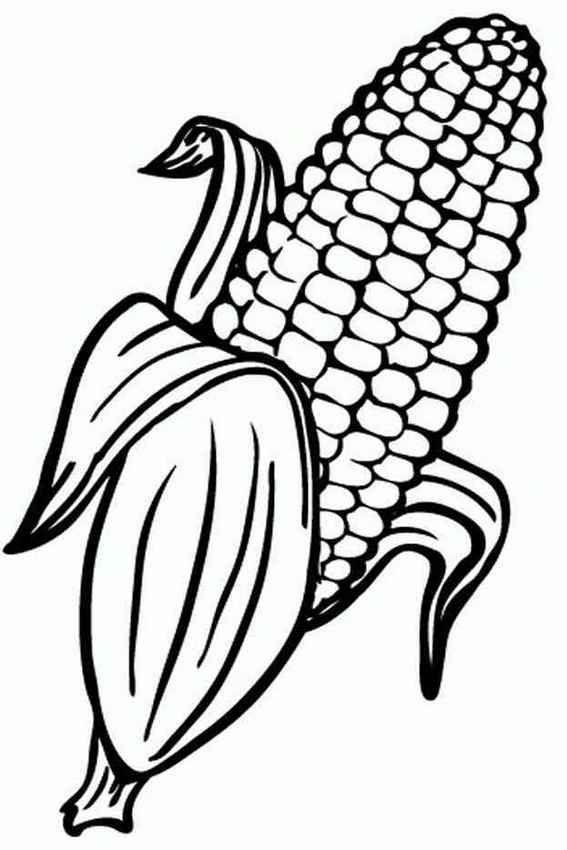 Fun real and cute corn coloring pages for kids vegetable coloring pages fruit coloring pages coloring pages for kids