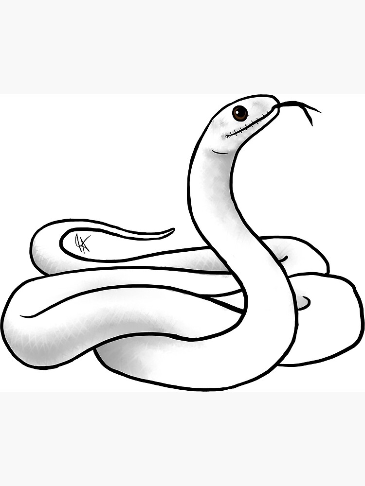Blizzard corn snake canvas print for sale by jennifer stolzer