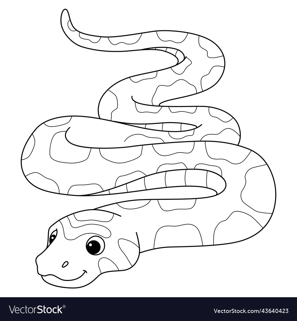Corn snake animal isolated coloring page for kids vector image