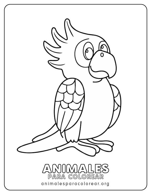 Loros para colorear descargar e imprimir gratis