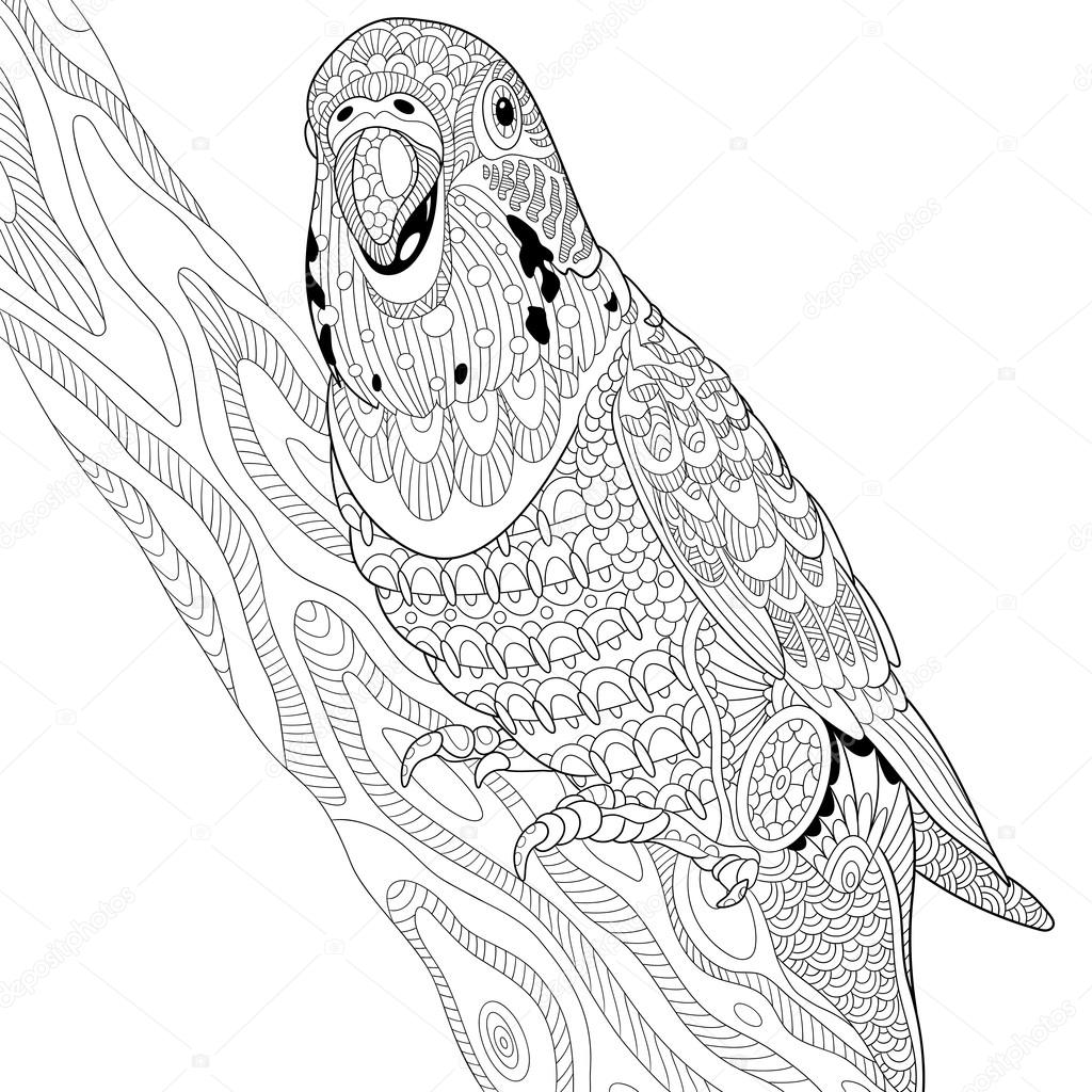 Zentangle loro periquito estilizado vector de stock por sybirko