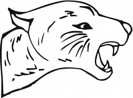 Cougar coloring page
