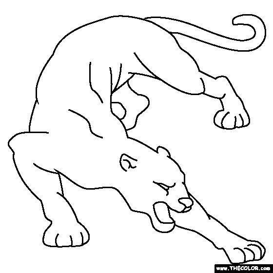 Cougar coloring page coloring pages animal coloring pages free coloring pages