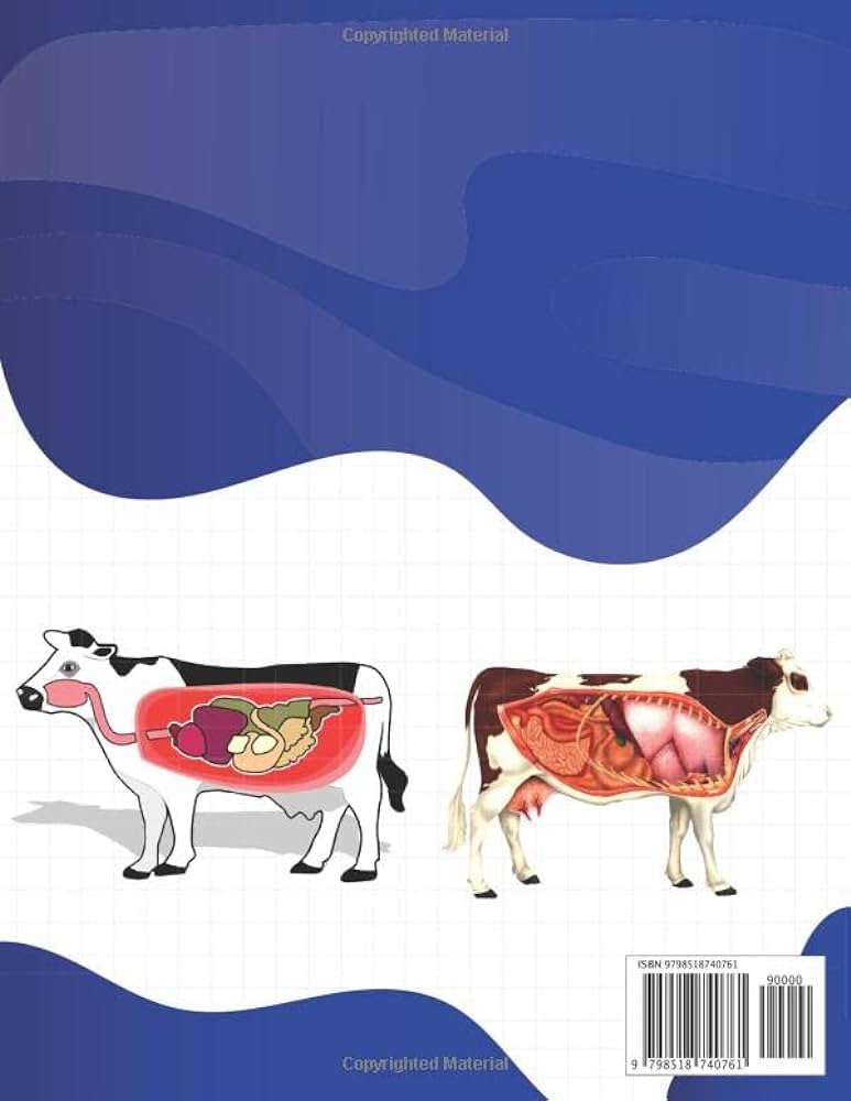 Cow anatomy coloring book animals physiology self