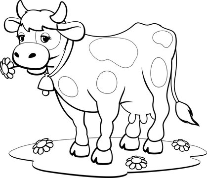 Colouring book cow images â browse photos vectors and video