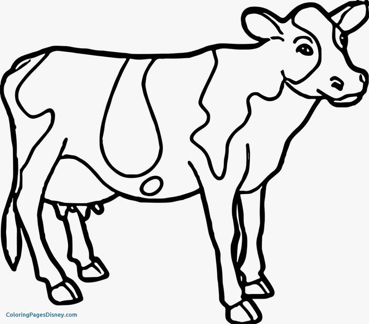Cute cow coloring pages pdf