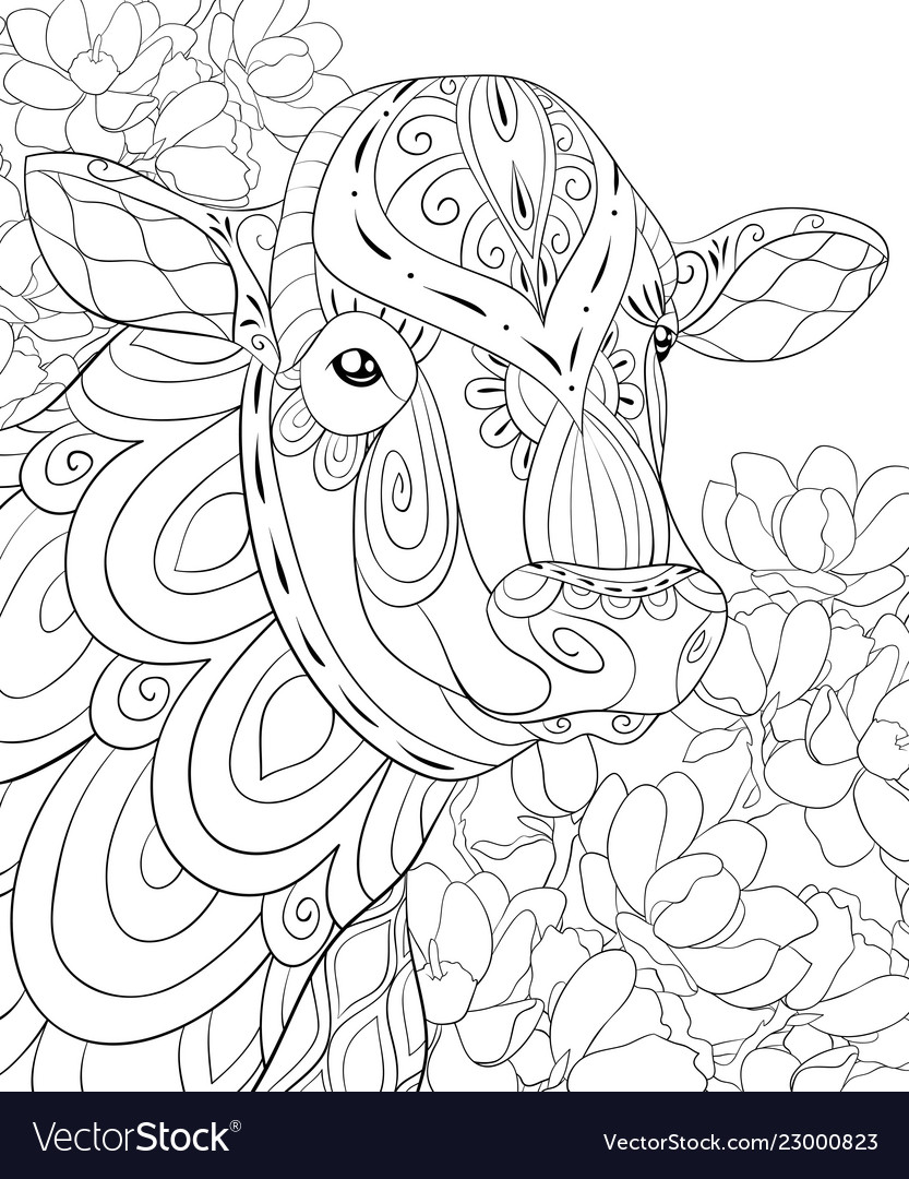 Adult coloring bookpage a cute cow image vector image