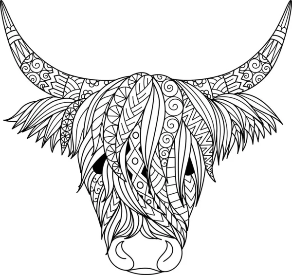 Highland cattle vector images