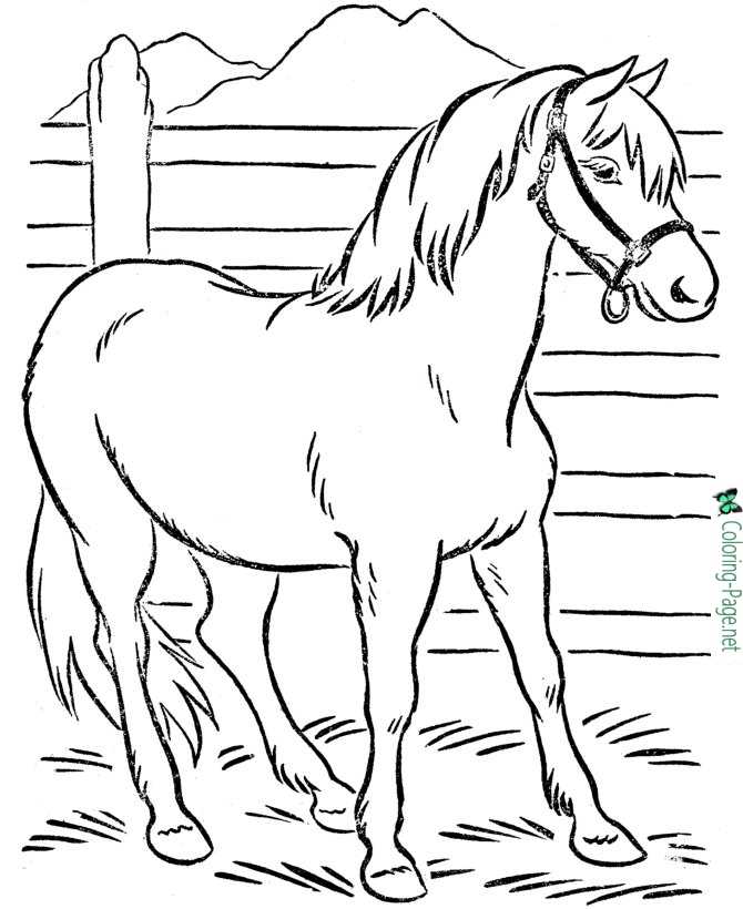Horse coloring pages