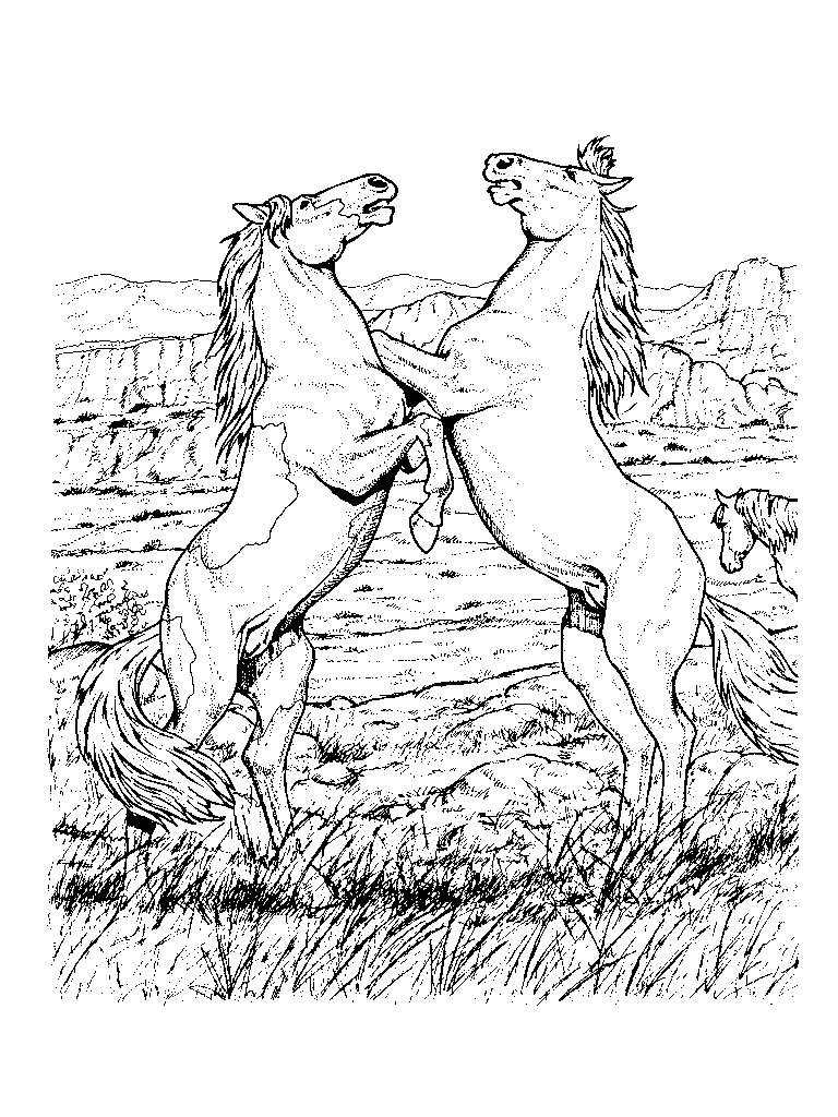 Two horses