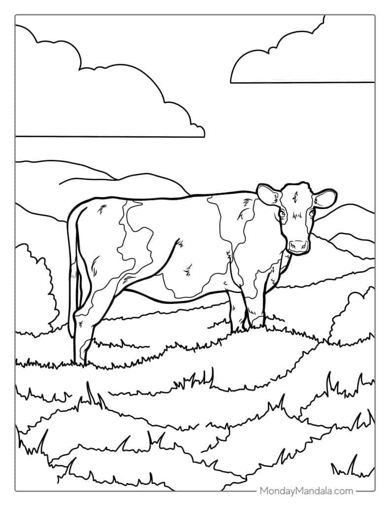 Cow coloring pages free pdf printables