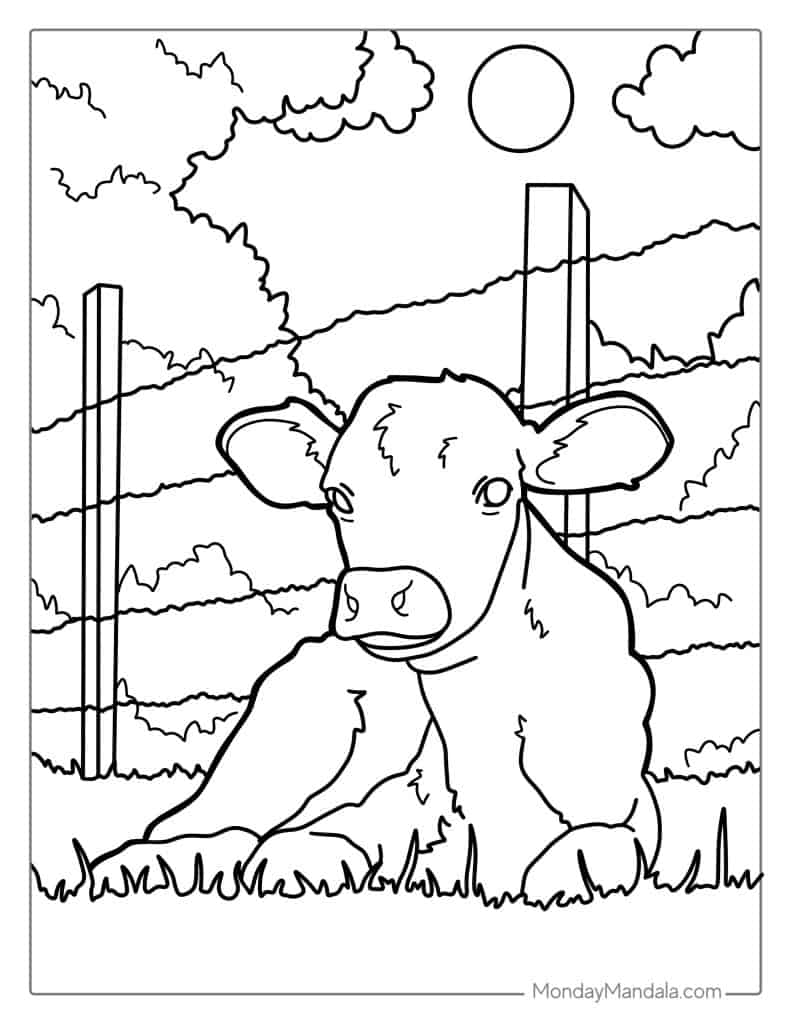 Cow coloring pages free pdf printables