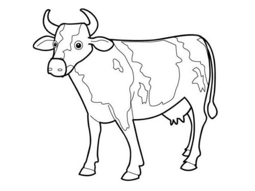 Free cow coloring pages printable