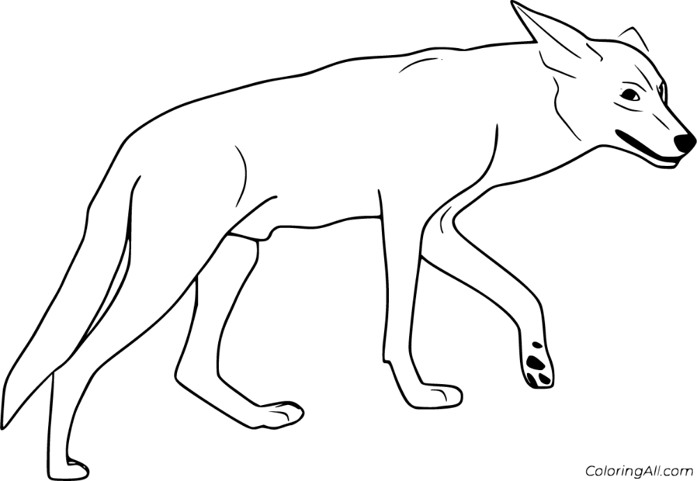 Free printable coyote coloring pages easy to print from any device and automatically fit any paper size coloring pages coyote color