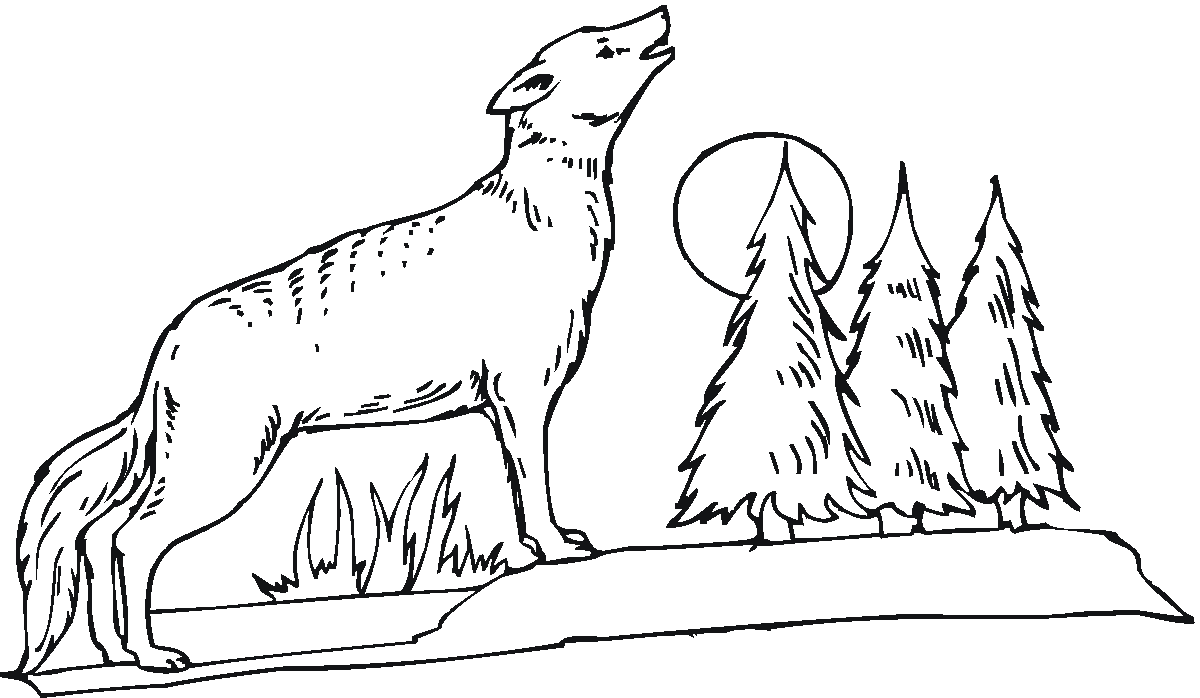 Coyote coloring pages printable moon coloring pages deer coloring pages coloring pages