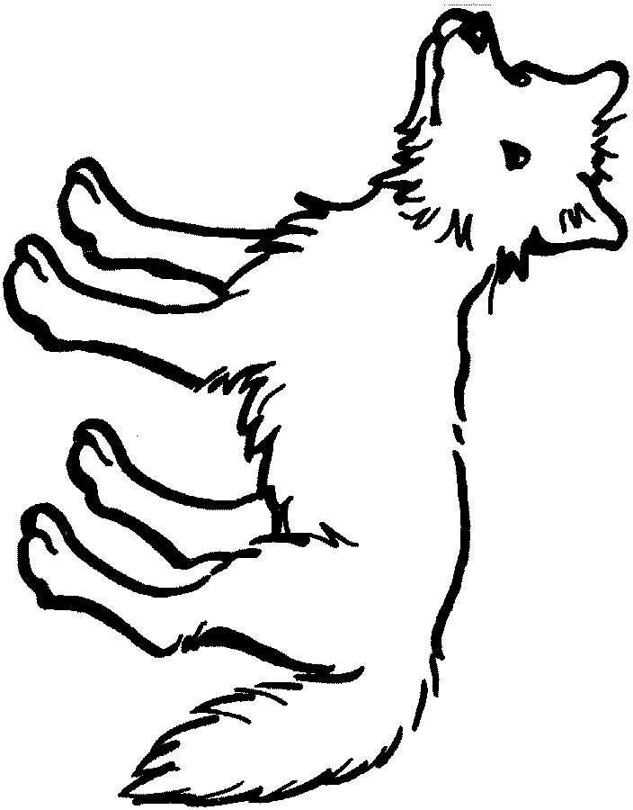 Coyote coloring page