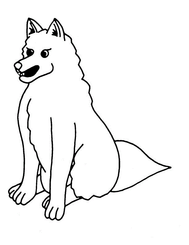 Free printable coyote coloring pages for kids