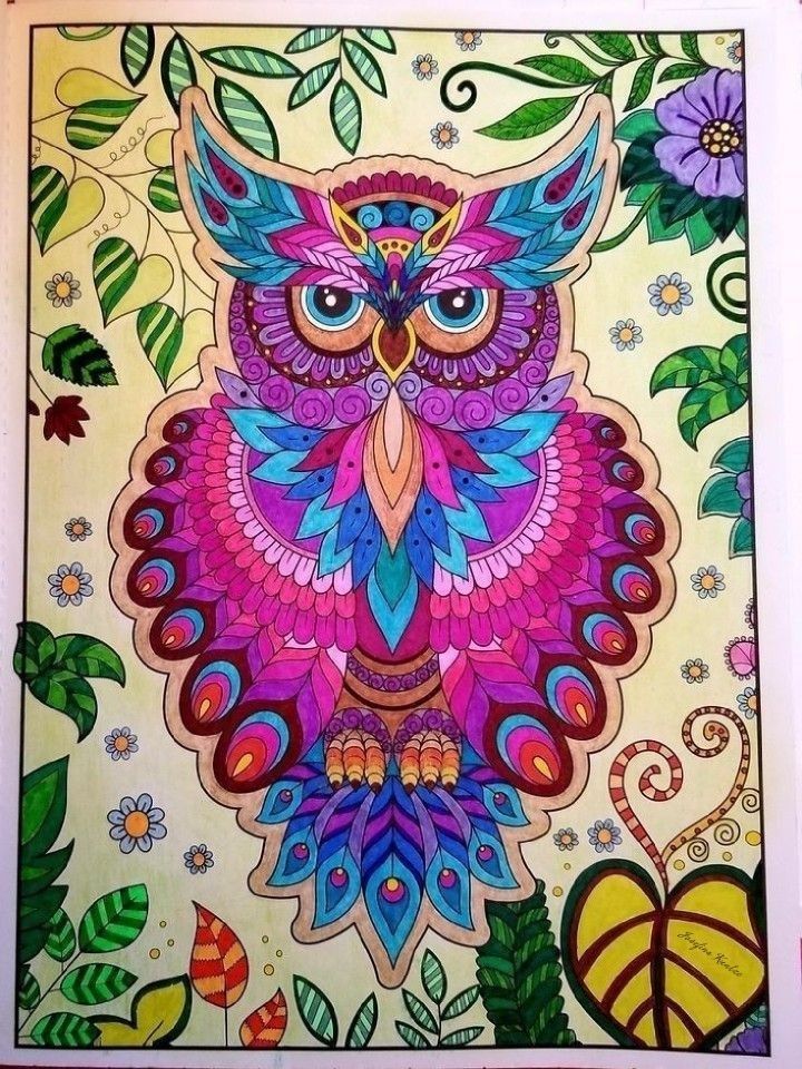 Dreams take flight coloring book art flower prints art book art drawings